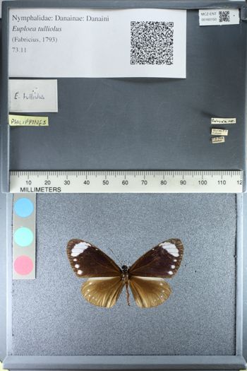 Media type: image;   Entomology 160150